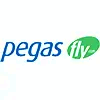 Pegas Fly